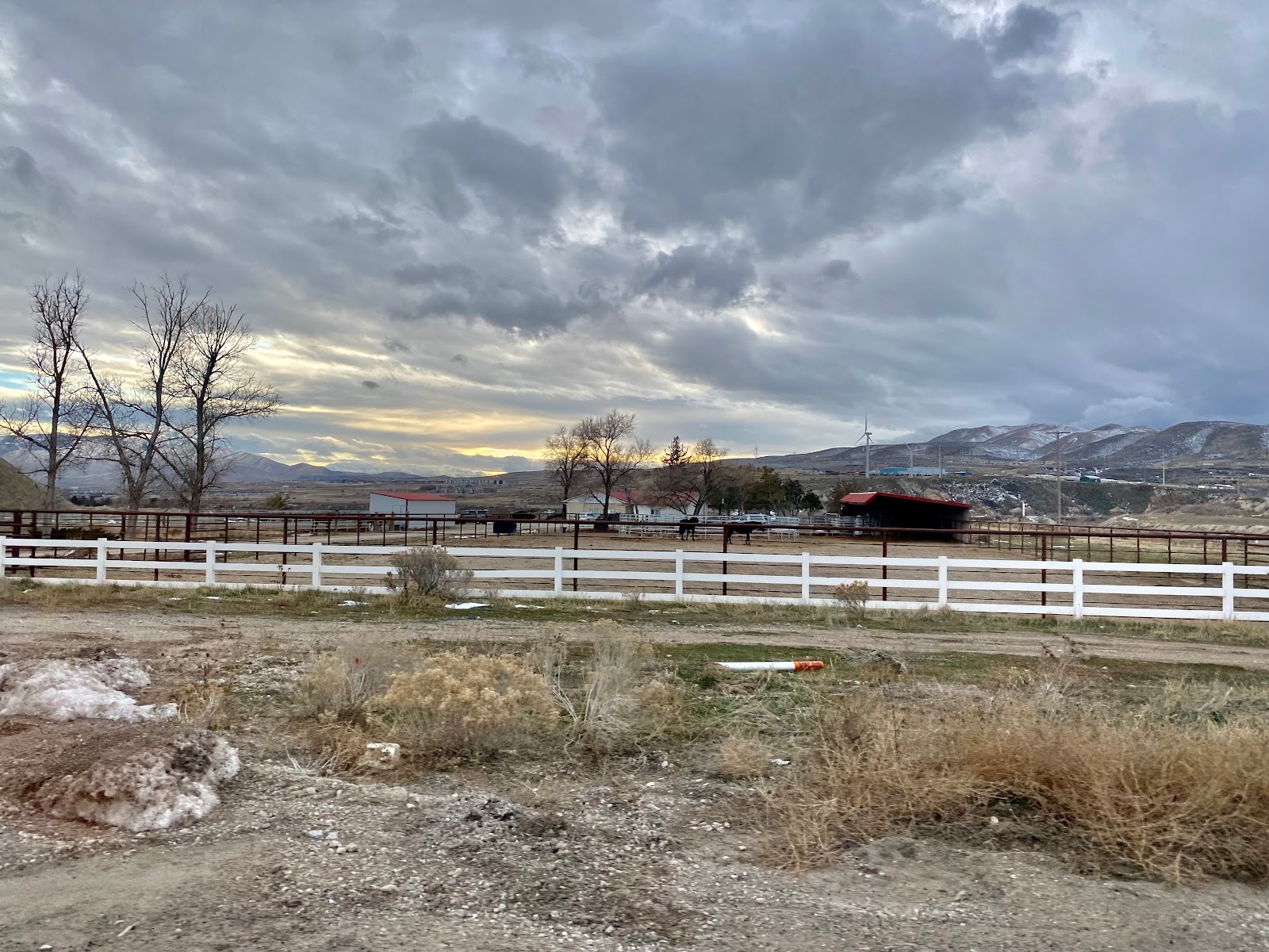 Alliance Youth Services