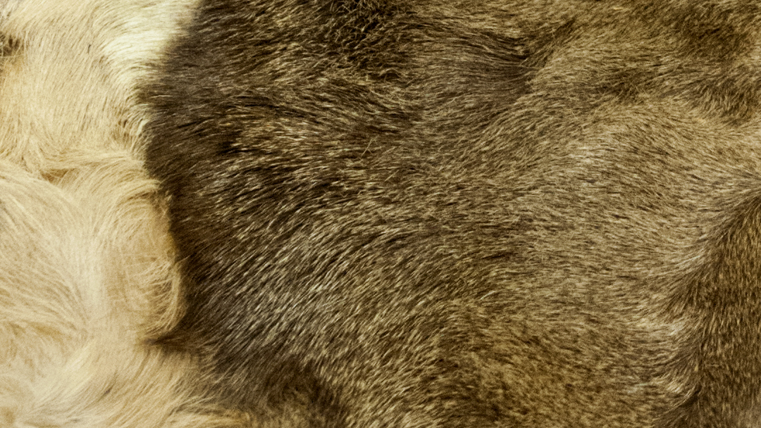 A New Direction - Recovery and Wellness