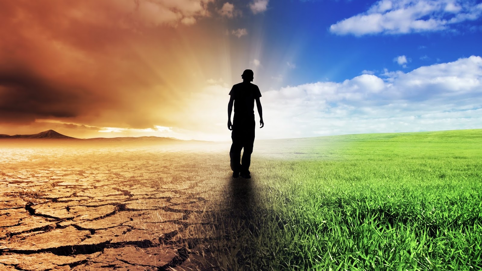 Steps Recovery Center - Outpatient