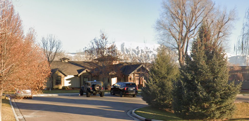 Willow Tree Recovery